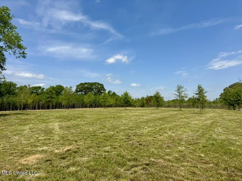 22CB6184-3630-4E44-8136-6A1B577EFC61_1_1