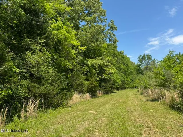 $615,250 | 4 Windermere Boulevard, Madison, MS 39110