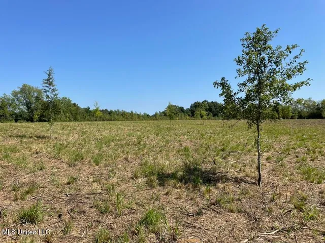 $615,250 | 4 Windermere Boulevard, Madison, MS 39110