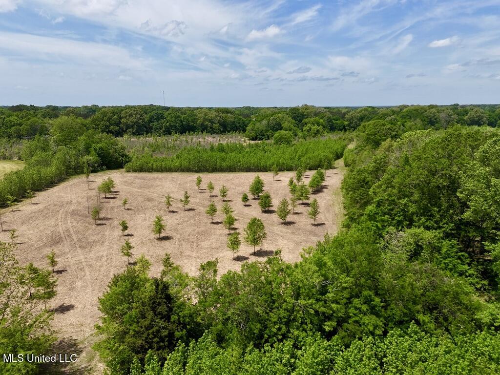 4 Windermere Boulevard Madison, MS 39110 - Photo 13 of 26 119B326F-C4F0-4A8F-A493-AD1BD0DA0C4B_1_1