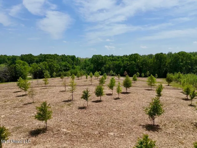 $615,250 | 4 Windermere Boulevard, Madison, MS 39110