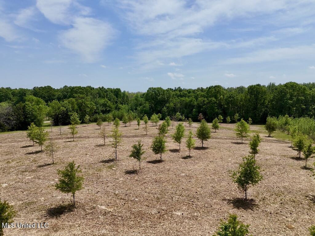 4 Windermere Boulevard Madison, MS 39110 - Photo 15 of 26 BF221DD7-5EB3-4CB8-92B1-66175C750E8C_1_1