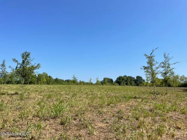 $615,250 | 4 Windermere Boulevard, Madison, MS 39110