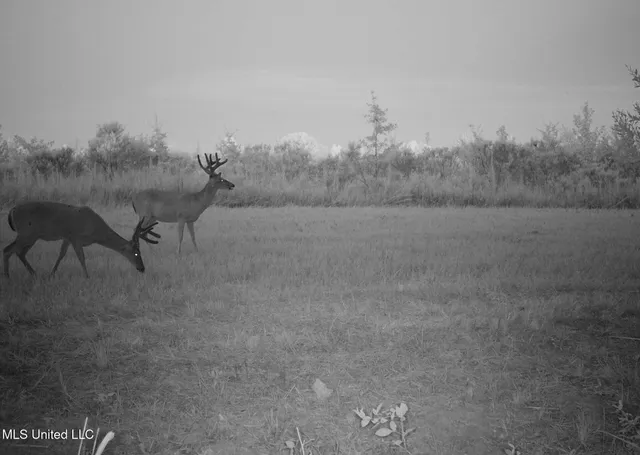 $615,250 | 4 Windermere Boulevard, Madison, MS 39110