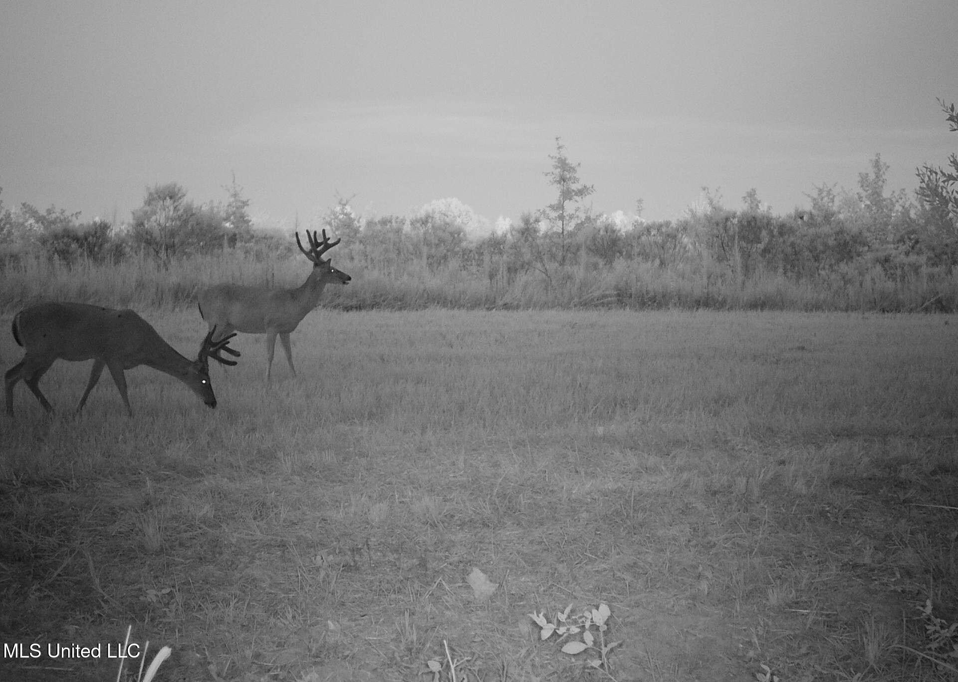 4 Windermere Boulevard Madison, MS 39110 - Photo 18 of 26 476332B9-5991-4B56-91EB-B0DF98B5AB1B_1_2