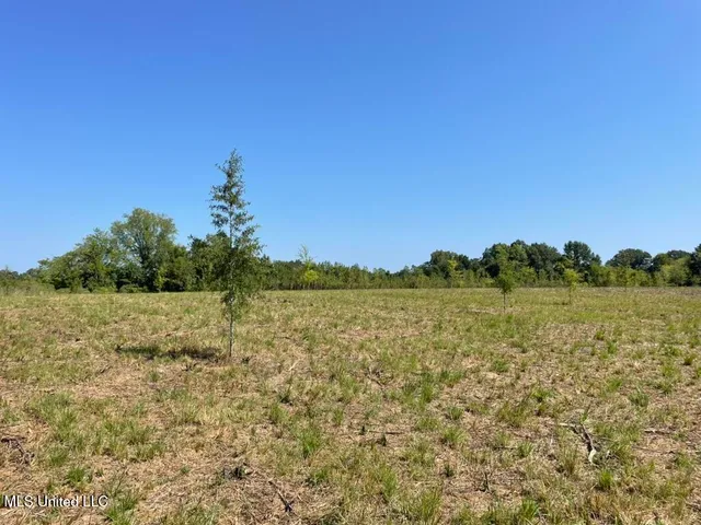 $615,250 | 4 Windermere Boulevard, Madison, MS 39110