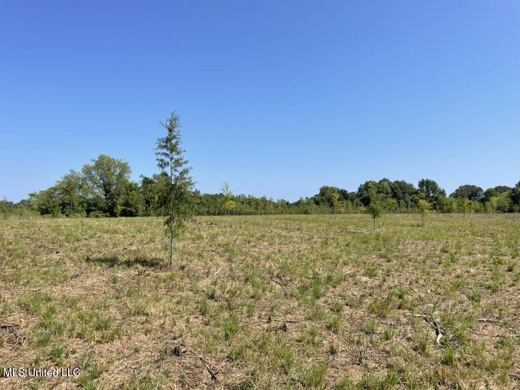 4 Windermere Boulevard Madison, MS 39110 - Photo 20 of 26 CB876940-1198-4DDC-AB0A-6C274527AC7D_1_1