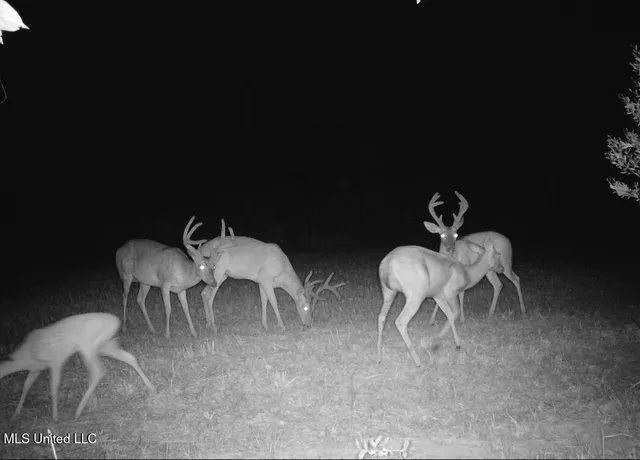 $615,250 | 4 Windermere Boulevard, Madison, MS 39110