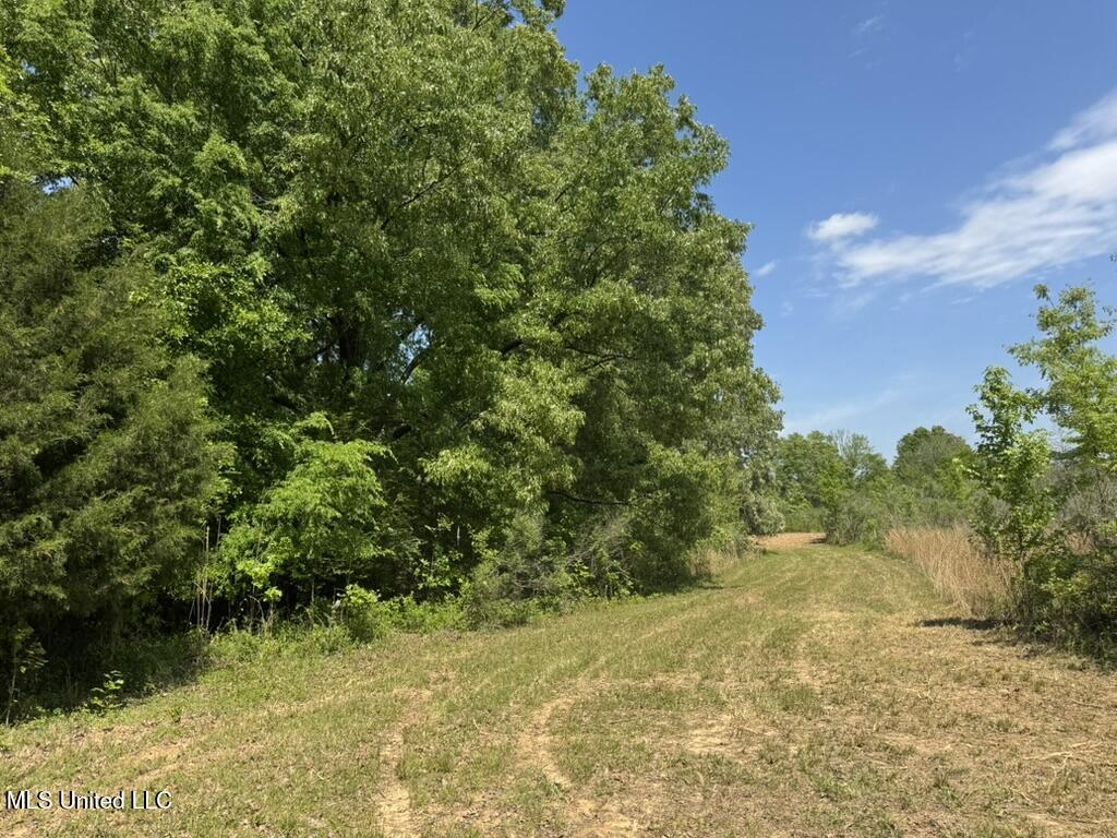 4 Windermere Boulevard Madison, MS 39110 - Photo 21 of 26 1D55D16B-ABD6-4A33-8AFE-160A291C0AC0_1_1