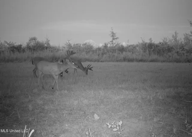 $615,250 | 4 Windermere Boulevard, Madison, MS 39110