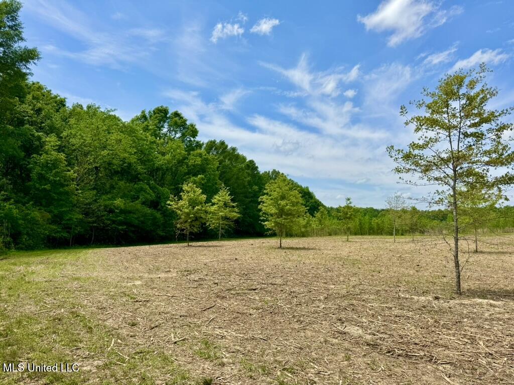 4 Windermere Boulevard Madison, MS 39110 - Photo 25 of 26 2F0330D1-5C92-4DB3-A9E2-8515DC351532_1_1