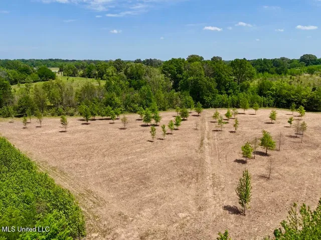 $615,250 | 4 Windermere Boulevard, Madison, MS 39110