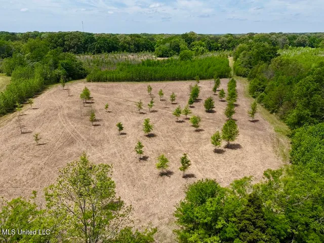 $615,250 | 4 Windermere Boulevard, Madison, MS 39110