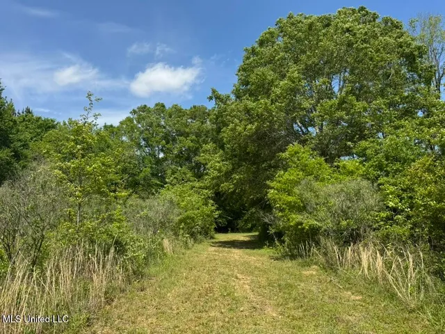 $615,250 | 4 Windermere Boulevard, Madison, MS 39110