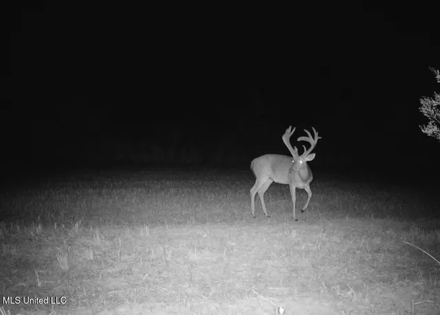 $615,250 | 4 Windermere Boulevard, Madison, MS 39110