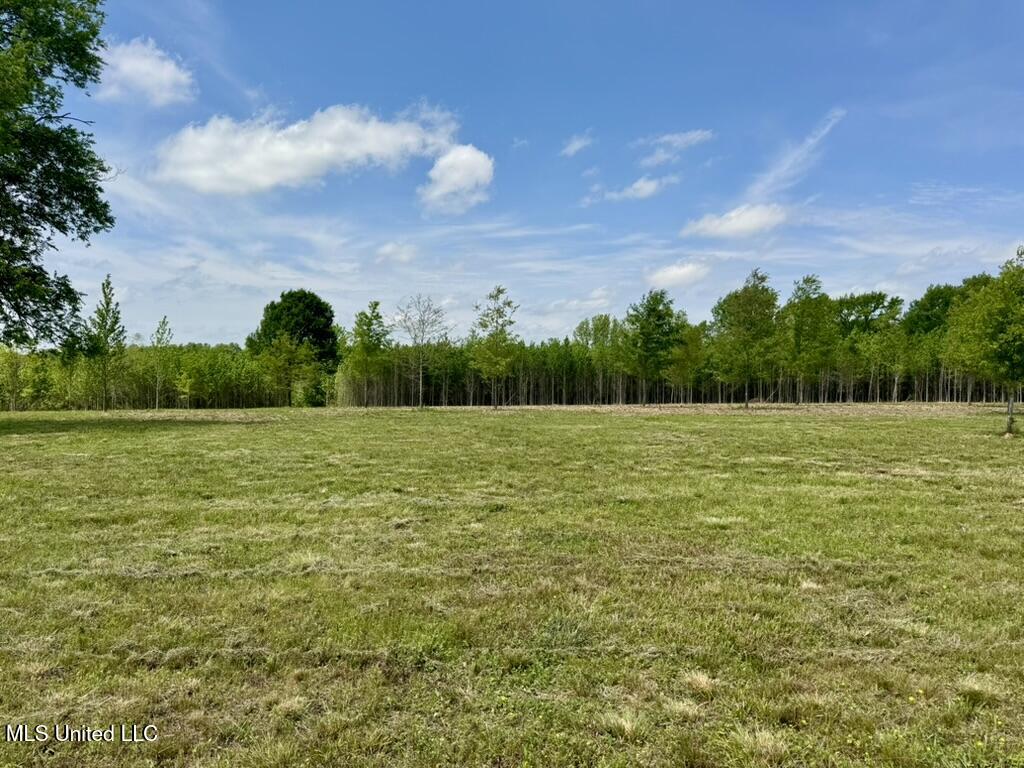 4 Windermere Boulevard Madison, MS 39110 - Photo 6 of 26 02745723-D13D-43CA-B068-542D855E2377_1_1