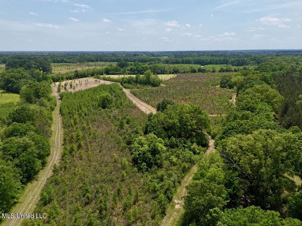 4 Windermere Boulevard Madison, MS 39110 - Photo 7 of 26 01876312-8C1C-405F-B9BD-525B875F5ED0_1_1