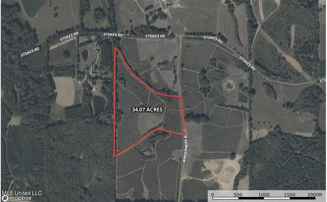 4 Windermere Boulevard Madison, MS 39110 - Photo 8 of 26 284FEB88-0C28-4088-B304-997ED3E82E03_1_1