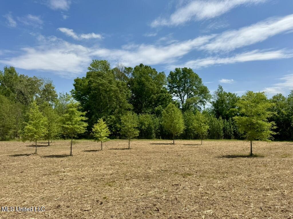 4 Windermere Boulevard Madison, MS 39110 - Photo 9 of 26 283671CF-9932-4E03-A92A-03C28B4A9094_1_1