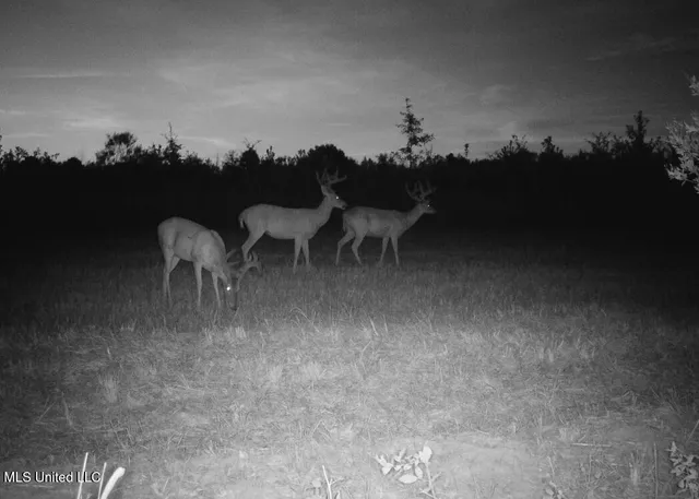 $615,250 | 4 Windermere Boulevard, Madison, MS 39110