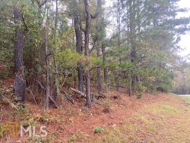 0 Macon Road McIntyre, GA 31054 - Photo 1 of 1 Gallery Image 1