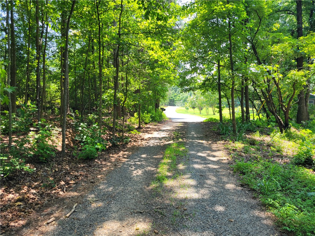 306 Foxfire Road Central, SC 29630 - Photo 4 of 12