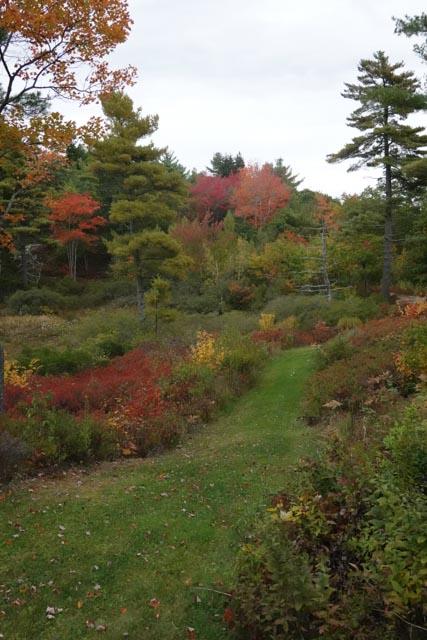 680 Parker Head Road Phippsburg, ME 04562 - Photo 38 of 41 DSC00311