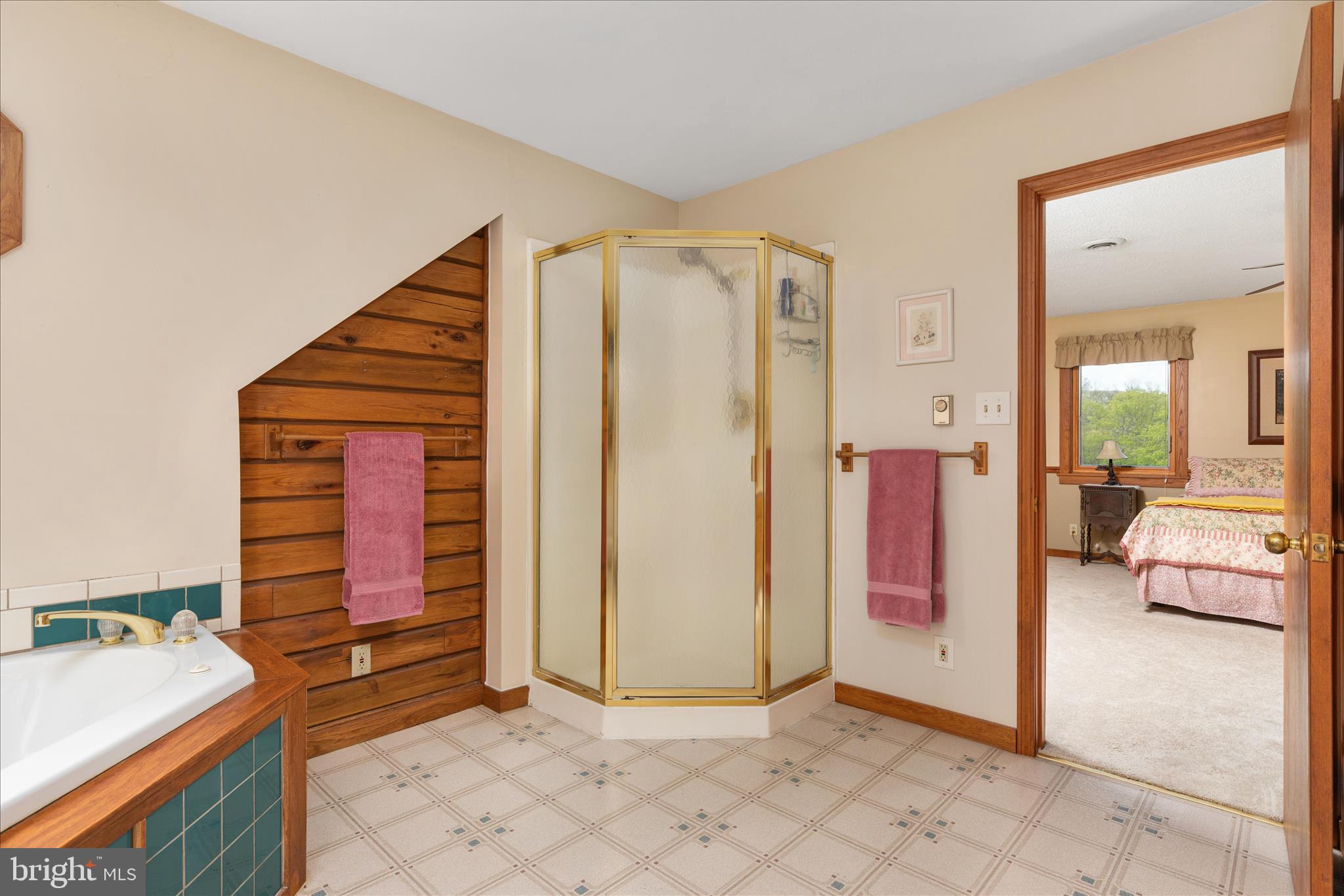 272 Buster Brown Drive Rio, WV 26755 - Photo 40 of 113 Master Bathroom