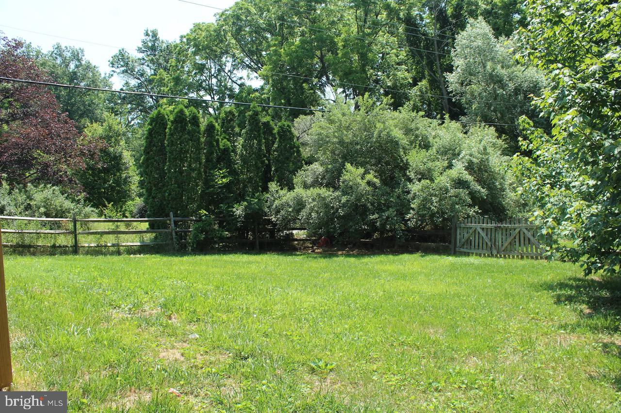 384 Telegraph Road Rising Sun, MD 21911 - Photo 35 of 36 Tons of privacy