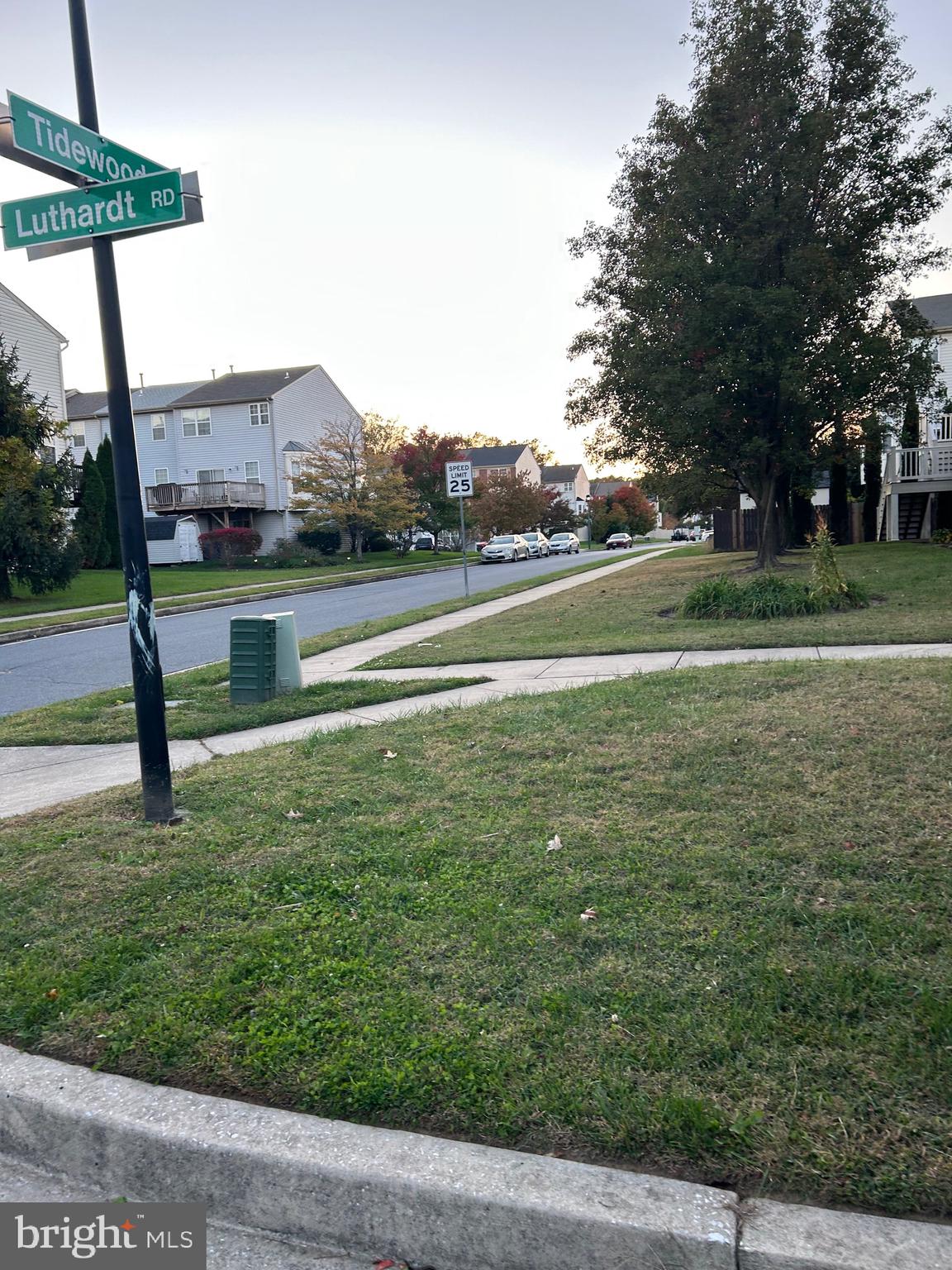 662 Luthardt Road Middle River, MD 21220 - Photo 40 of 52 a view of a park with large trees