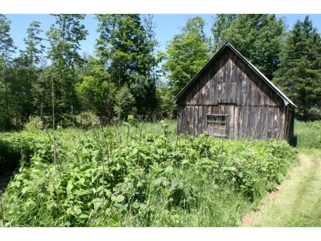 1011 Hartwell Pond Road Albany, VT 05875 - Photo 30 of 36 Gallery Image 30
