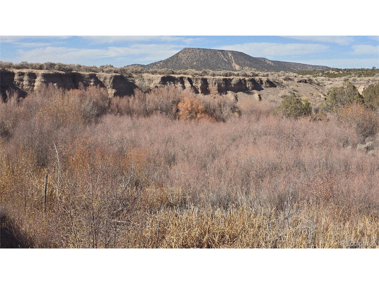 1768 Bateman Road Fort Garland, CO 81133 - Photo 10 of 30 Gallery Image 10