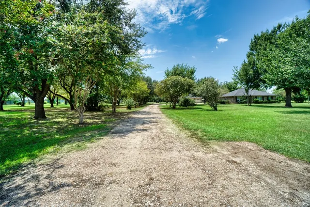a view of grassy field with benches