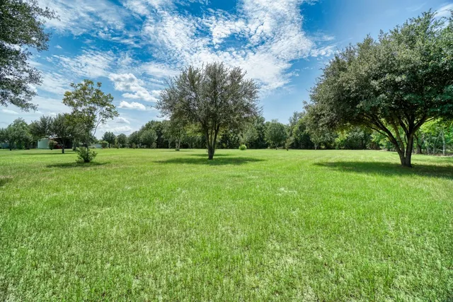 a view of a grassy field with trees