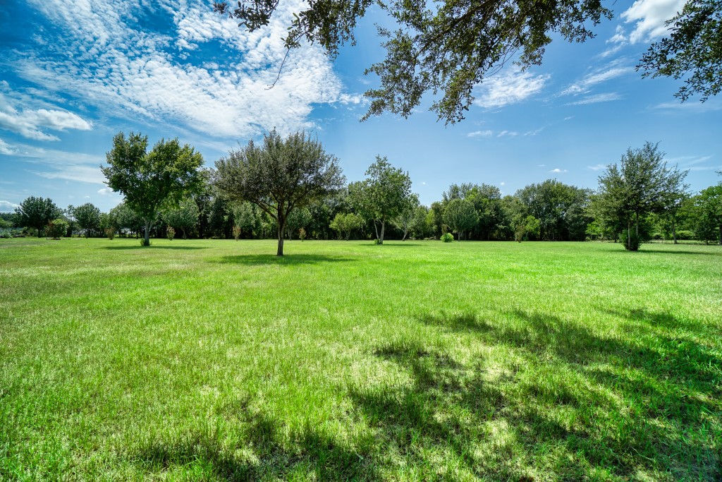 4249 Roland Road Katy, TX 77493 - Photo 8 of 12 a view of a grassy field with trees in the background