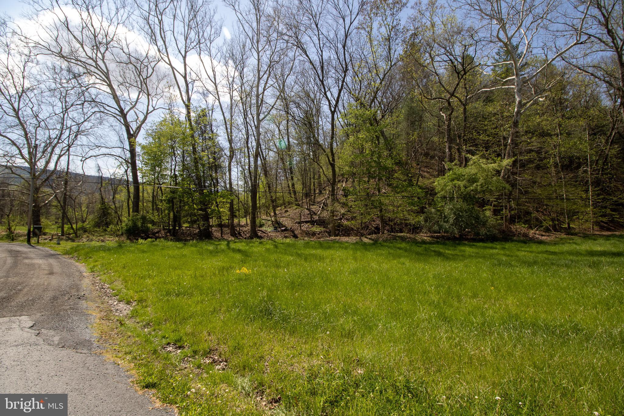Spohrs Road Berkeley Springs, WV 25411 - Photo 12 of 13 Gallery Image 12
