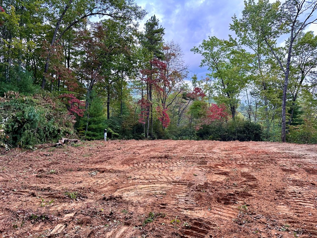3.69-ac Atoah Loop Murphy, NC 28906 - Photo 3 of 28 Gallery Image 3