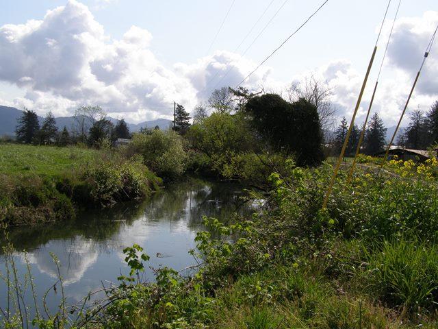 Slough.JPG