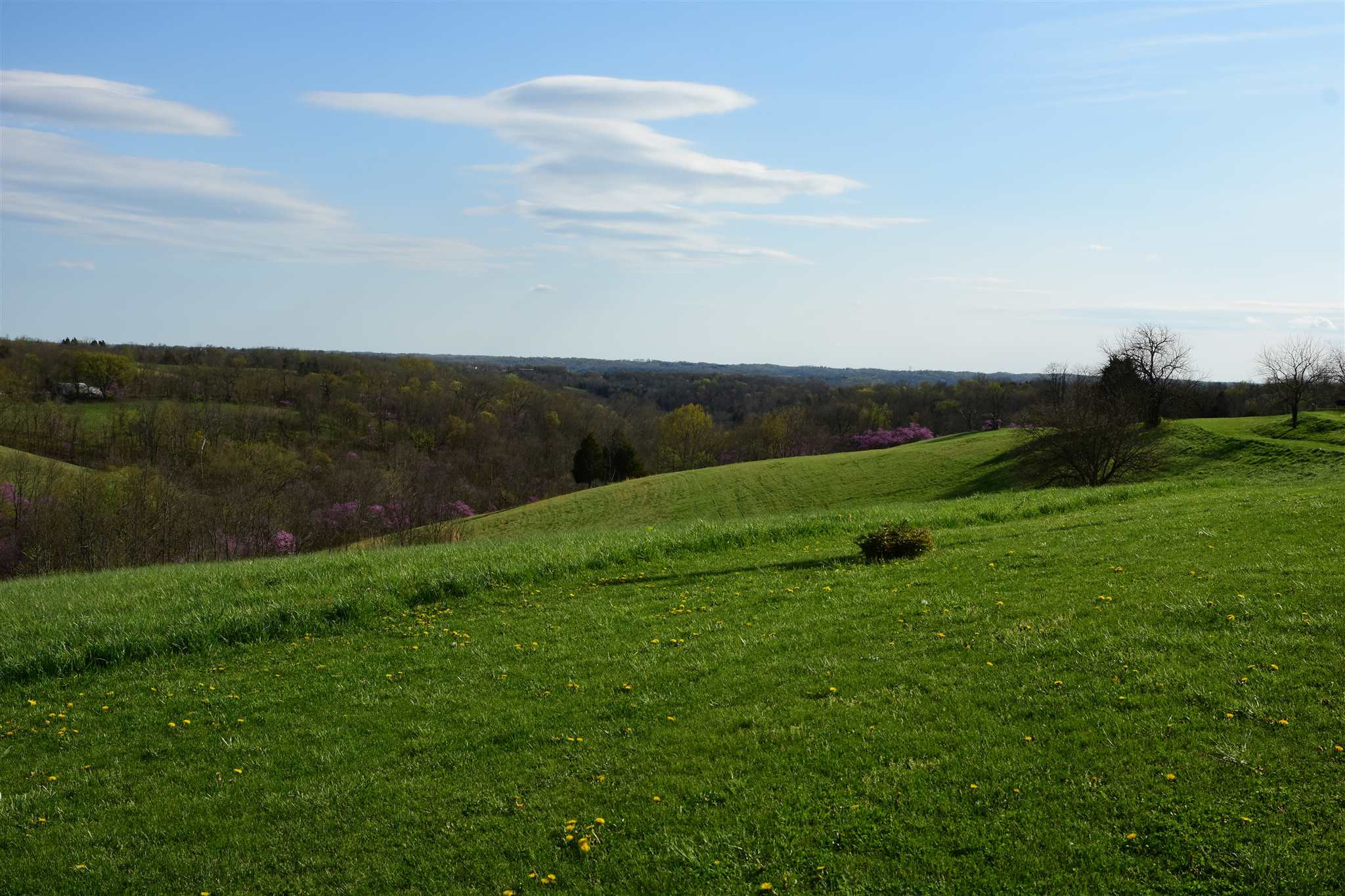 654 Belmont Road Brooksville, KY 41004 - Photo 15 of 50 Gallery Image 15
