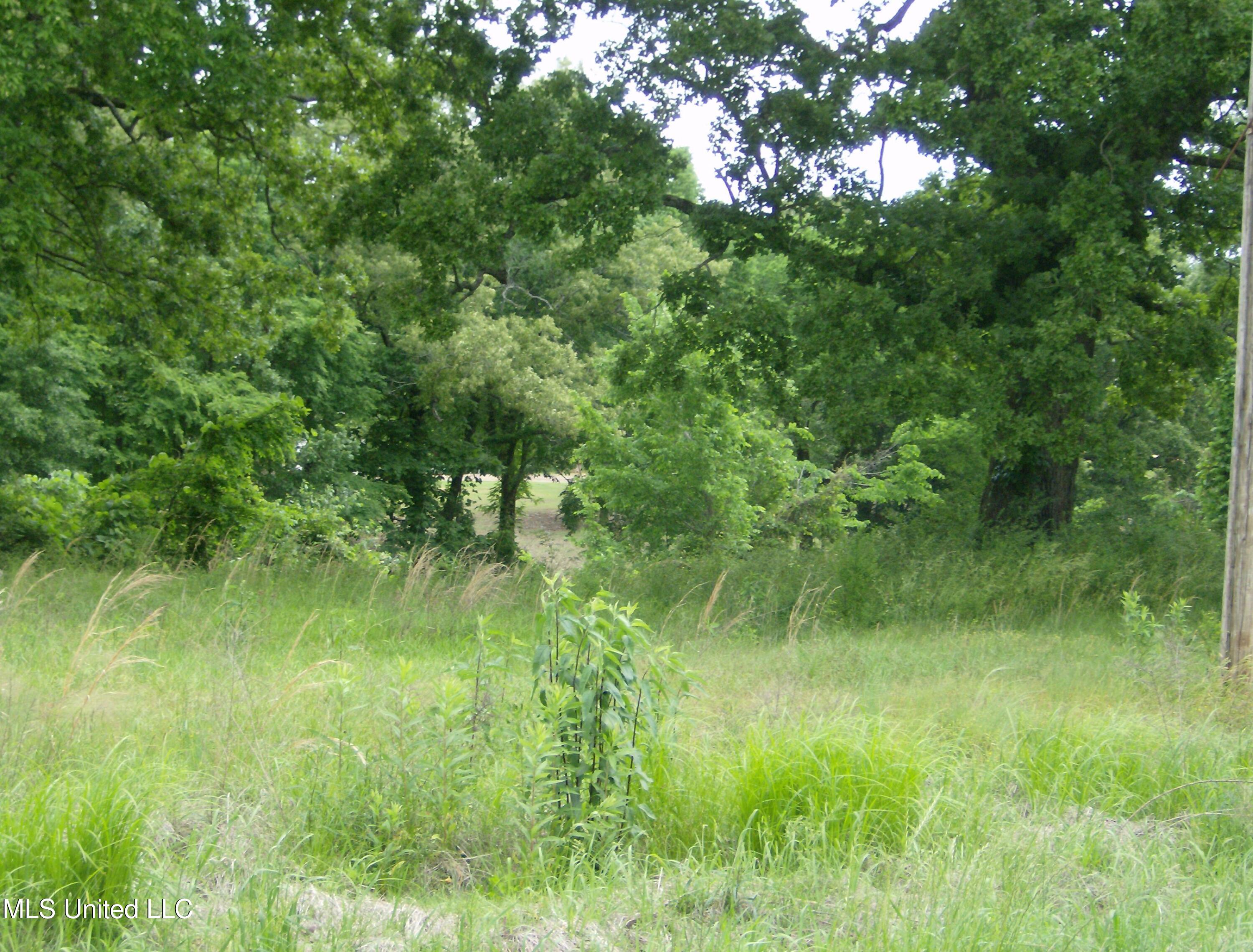 13705 Byhalia Road Byhalia, MS 38611 - Photo 2 of 7 11.68 Acres