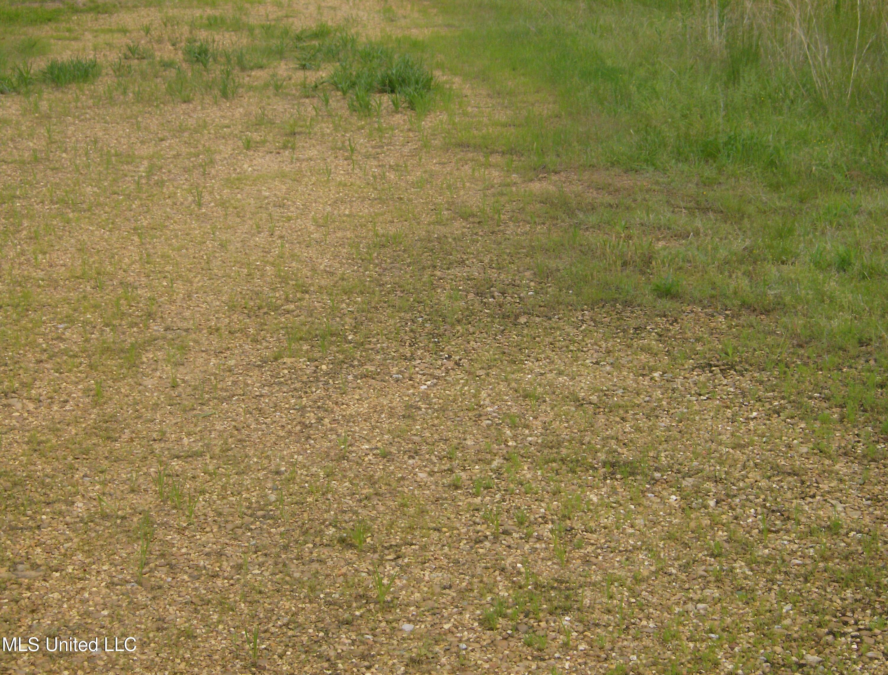 13705 Byhalia Road Byhalia, MS 38611 - Photo 4 of 7 13705 Byhalia Rd