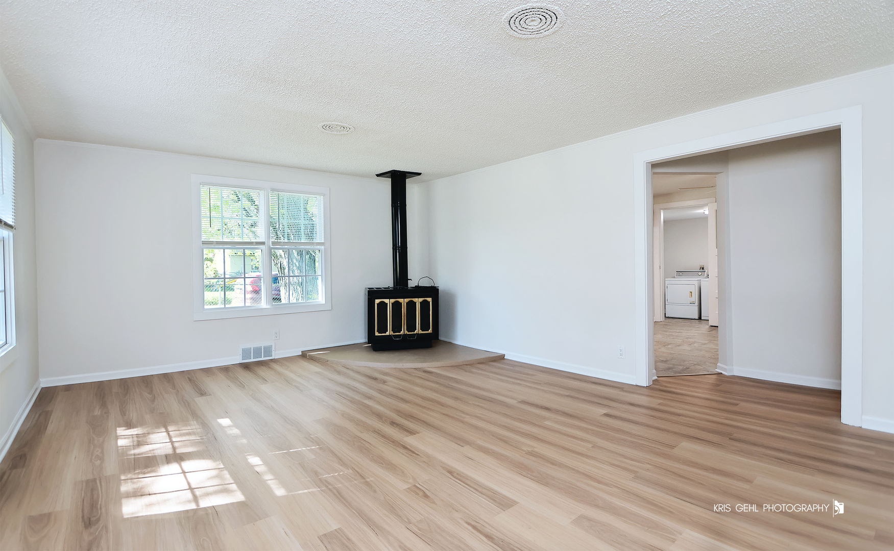 38690 North Green Bay Road Beach Park, IL 60087 - Photo 5 of 24