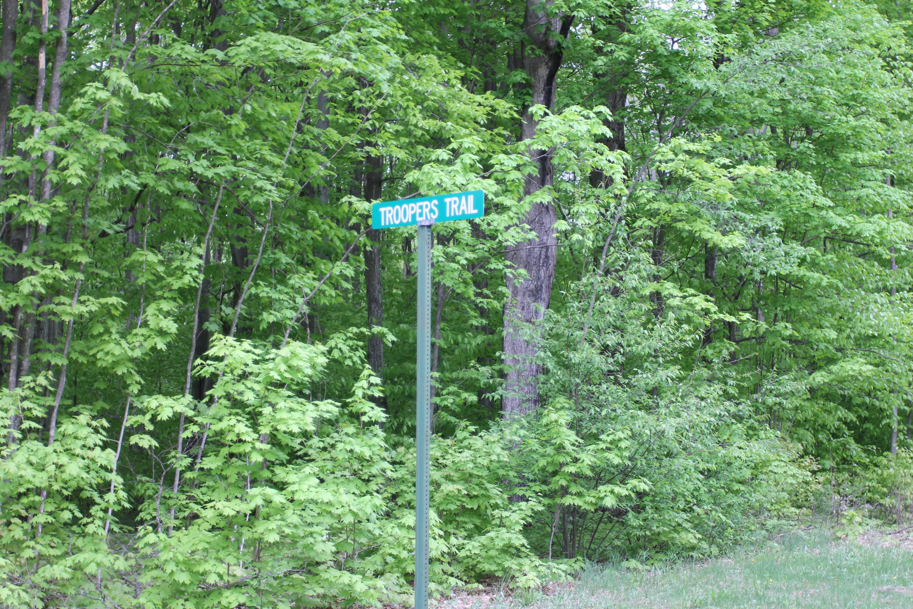 North Roberts Road Grayling, MI 49738 - Photo 5 of 8 Gallery Image 5