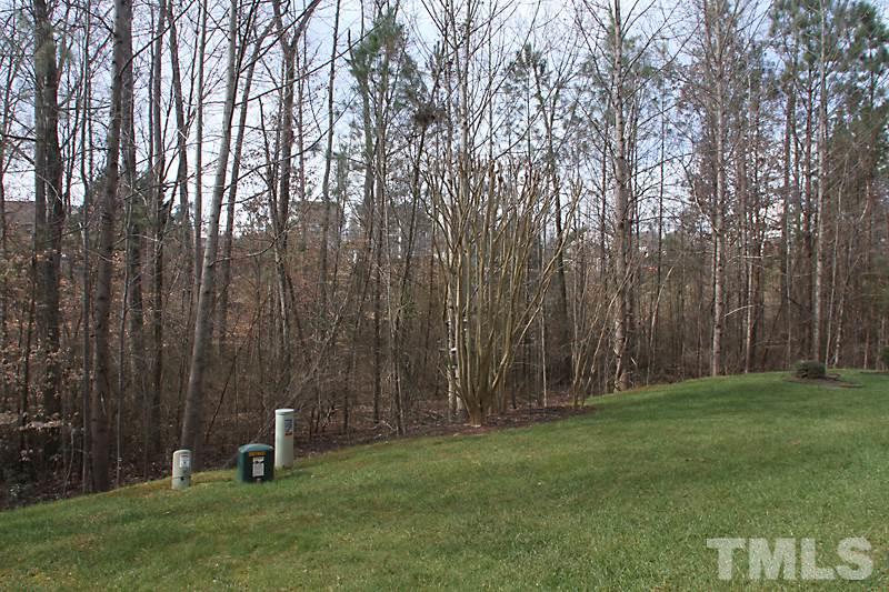 8419 Reedy Ridge Lane Raleigh, NC 27613 - Photo 18 of 20