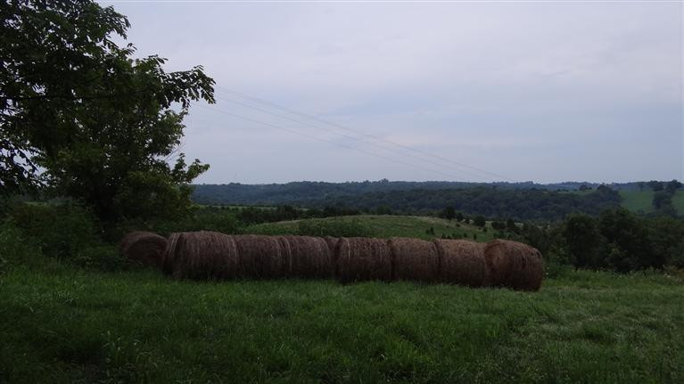 0 East Fairview Road Williamstown, KY 41097 - Photo 10 of 12 Gallery Image 10