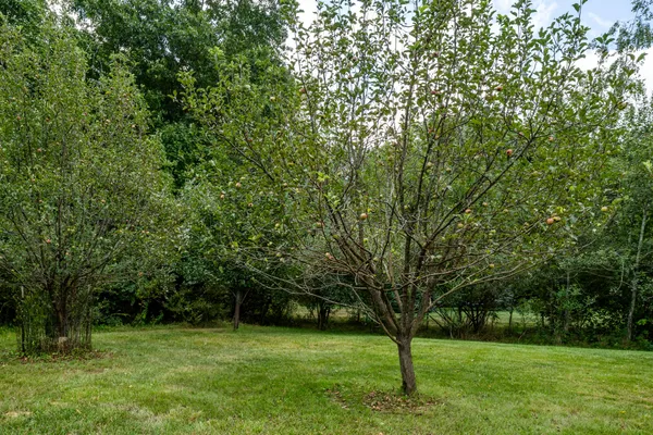 $509,900 | 4751 Harlan Drive, Watervliet, MI 49098