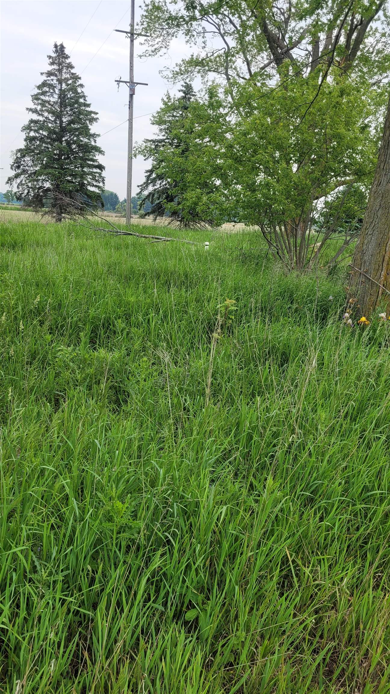 2305 West Juddville Road Owosso, MI 48867 - Photo 3 of 7