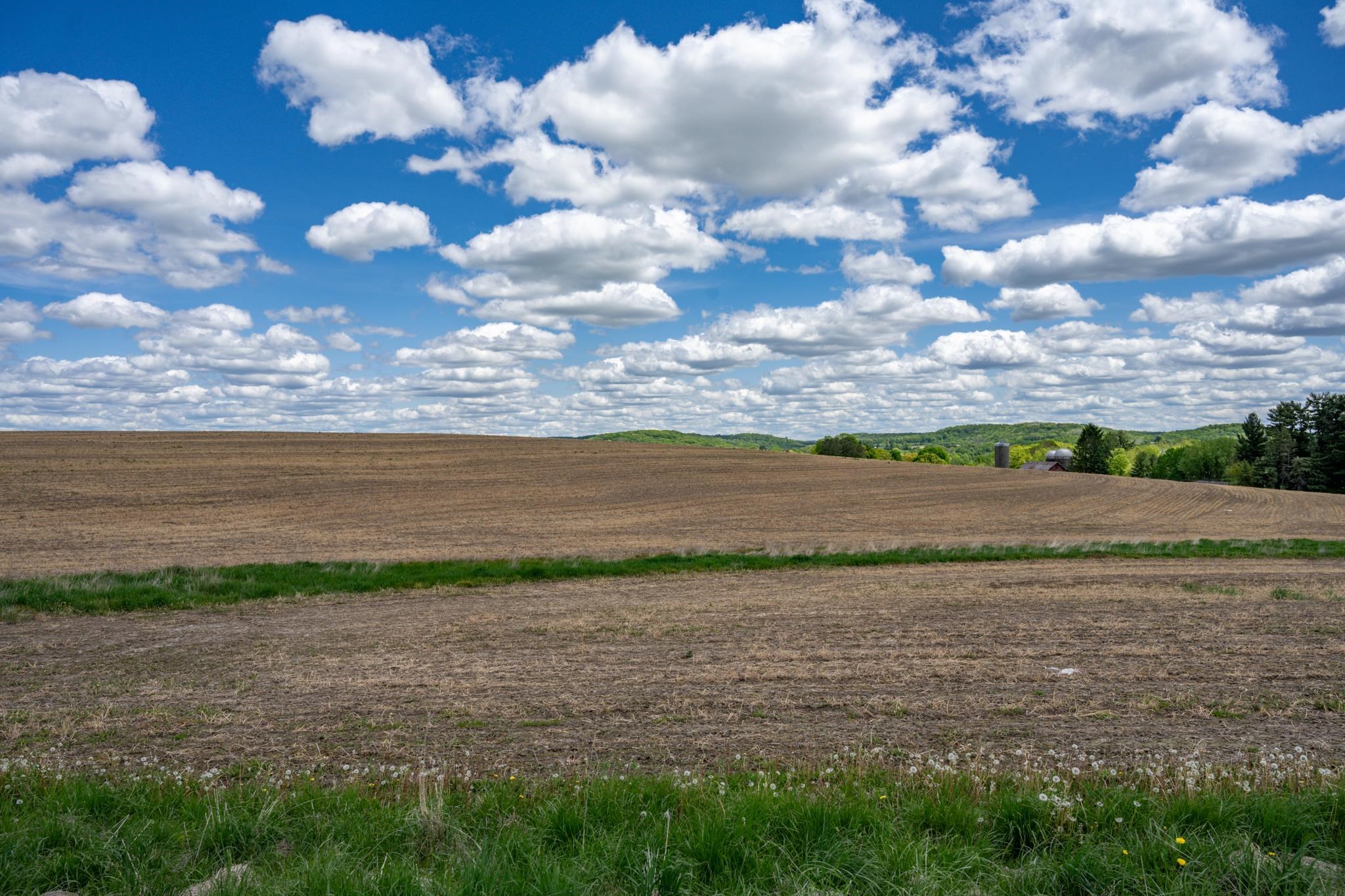 11 Section 11 Road La Valle, WI 53941 - Photo 5 of 14