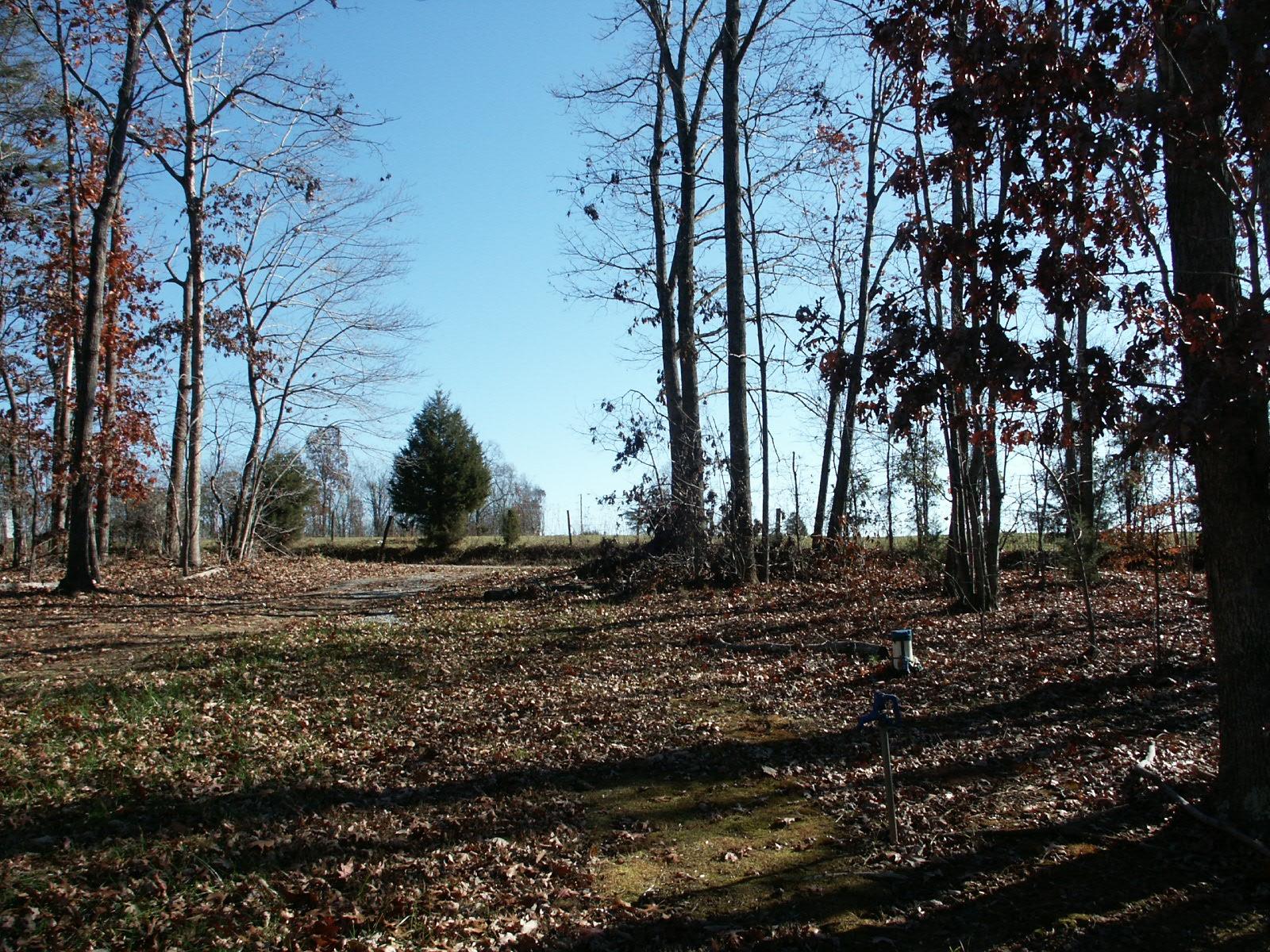 3775 Altice Road Moneta, VA 24121 - Photo 4 of 16 PICT1014