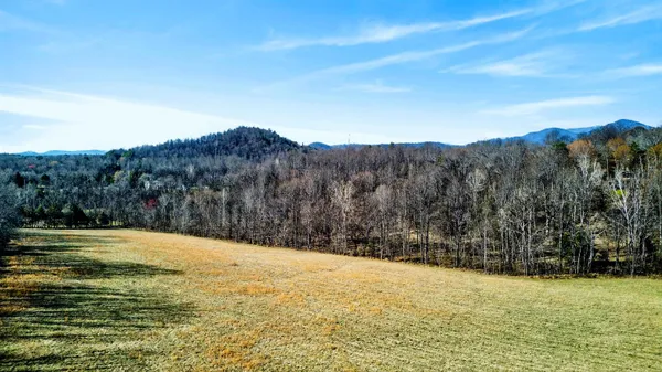 $549,490 | 85 Meadow Court, Roseland, VA 22967